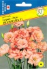 Эустома, лизиантус серия Эхо Шампань F1 10 др