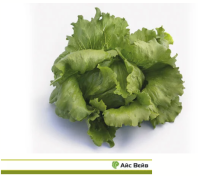 Салат Айс Вейв Салат Айс Вейв