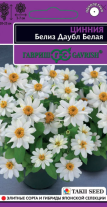 G Цинния Белиз даубл белая 5 шт. серия Эксклюзив