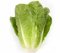 100 Салат Квинтус Нидерланды 100 драже