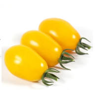 Томат KS 3690 F1 Томат KS 3690 F1