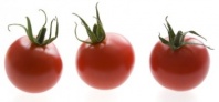 2 Томат Шерами F 1 Индетерминантный черри. Нидерланды «Профессиональные семена» 2 шт. 2 Томат Шерами F 1 Индетерминантный черри. Нидерланды «Профессиональные семена» 2 шт.