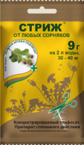 Стриж
