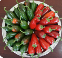 Перец Сонора F1 Перец Сонора F1