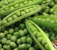 Зеленый горошек Хесбана