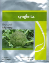 Капуста Монтоп F1 Капуста Монтоп F1