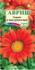 G Гацания Нью Дей Красный F1 4 шт. серия Элитная клумба