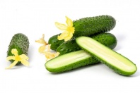 Огурец Киборг F1 Огурец Киборг F1