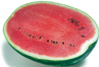 Арбуз Топ Ган F1 Арбуз Топ Ган F1