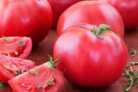 Томат Пинкджейн F1 Томат Пинкджейн F1