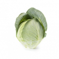 Капуста Корсума F1 Капуста Корсума F1