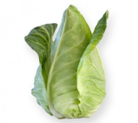 Капуста Сонсма F1 Капуста Сонсма F1