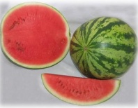 Арбуз Юлия F1 Арбуз Юлия F1