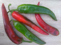 Перец Блэйд F1 Перец Блэйд F1