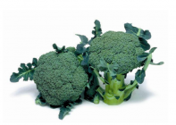 Капуста Маратон F1 Капуста Маратон F1