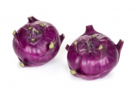 Капуста Укза F1 Капуста Укза F1