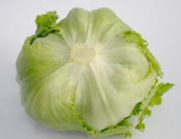 Салат Таймс Салат Таймс