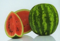 Арбуз Тюрк F1 Арбуз Тюрк F1