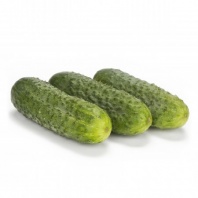 Огурец Берлиоз F1 Огурец Берлиоз F1