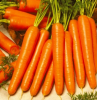 Морковь Карлано F 1