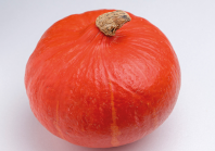 Тыква Каори Кури F1 Тыква Каори Кури F1