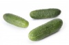Огурец Кибрия F1 Нидерланды 100 семян Огурец Кибрия F1 Нидерланды 100 семян