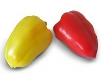 Перец Яника F1 Перец Яника F1