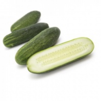 Огурец Бернштайн F1 Огурец Бернштайн F1