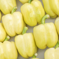 Перец Бурабелла F1 Перец Бурабелла F1