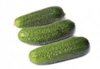 Огурец Трилоджи F1 Огурец Трилоджи F1