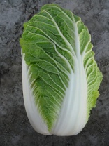 Капуста Пасифико F1 Капуста Пасифико F1