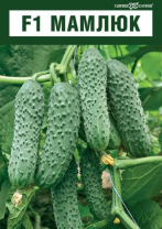 Огурец Мамлюк F1 Огурец Мамлюк F1