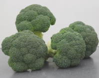 Капуста Корос F1 Капуста Корос F1