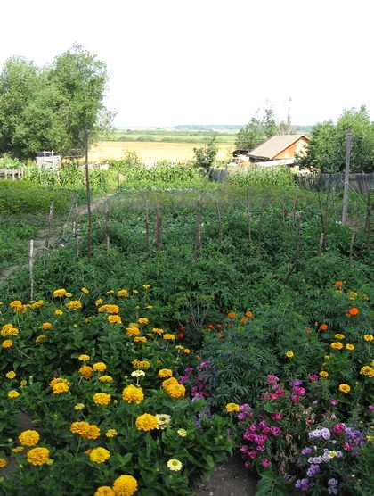 22 июля 2007 года.