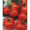 Томат Москвич Томат Москвич