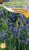 G Лаванда узколистная Вознесенская 34 0,05 г G Лаванда узколистная Вознесенская 34 0,05 г