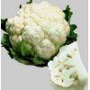 100 Капуста Инклайн F1 цветная Япония 100 семян