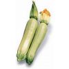 7 Кабачок Кавили F1 Нидерланды 7 семян