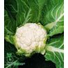 Капуста Скайвокер F1 цветная Нидерланды 10 семян