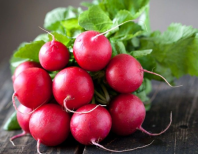 10.000 Редис Диего F1 Нидерланды, семена прецинзионные 10.000 семян