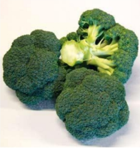 Капуста Стил F1 Капуста Стил F1