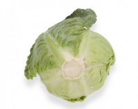 Капуста Тафма F1 Капуста Тафма F1