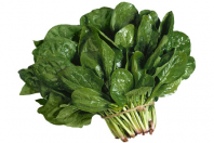 10 Шпинат Аполло F1 Япония 10 грамм