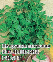 G Петрушка Итальянский гигант 2 г G Петрушка Итальянский гигант 2 г