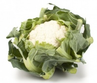 100 Капуста Каспер F1 цветная Нидерланды 100 семян